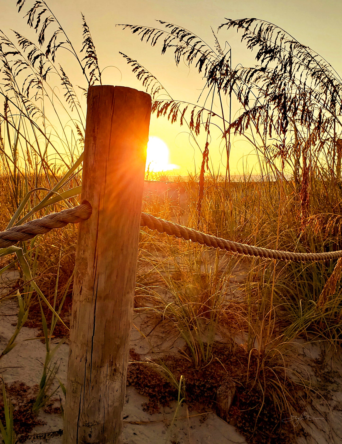 Sunrise at the Dunes (Giclée Canvas)