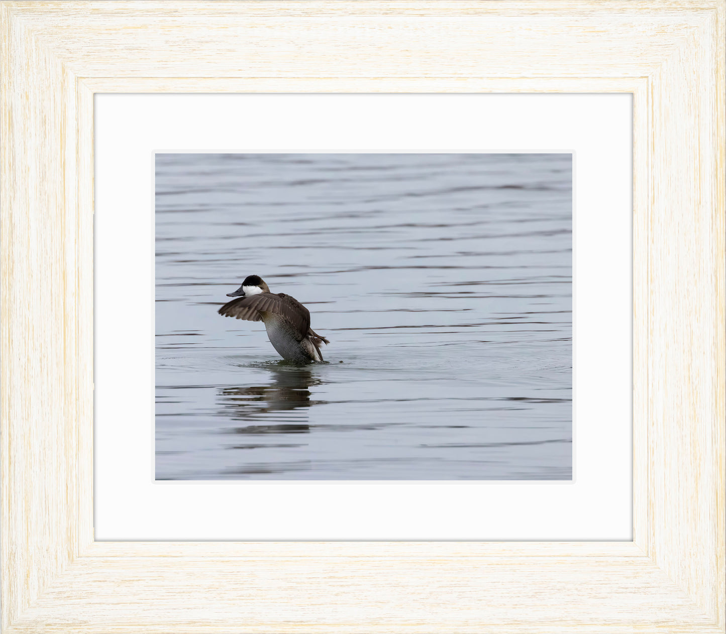 Take-off Ruddy