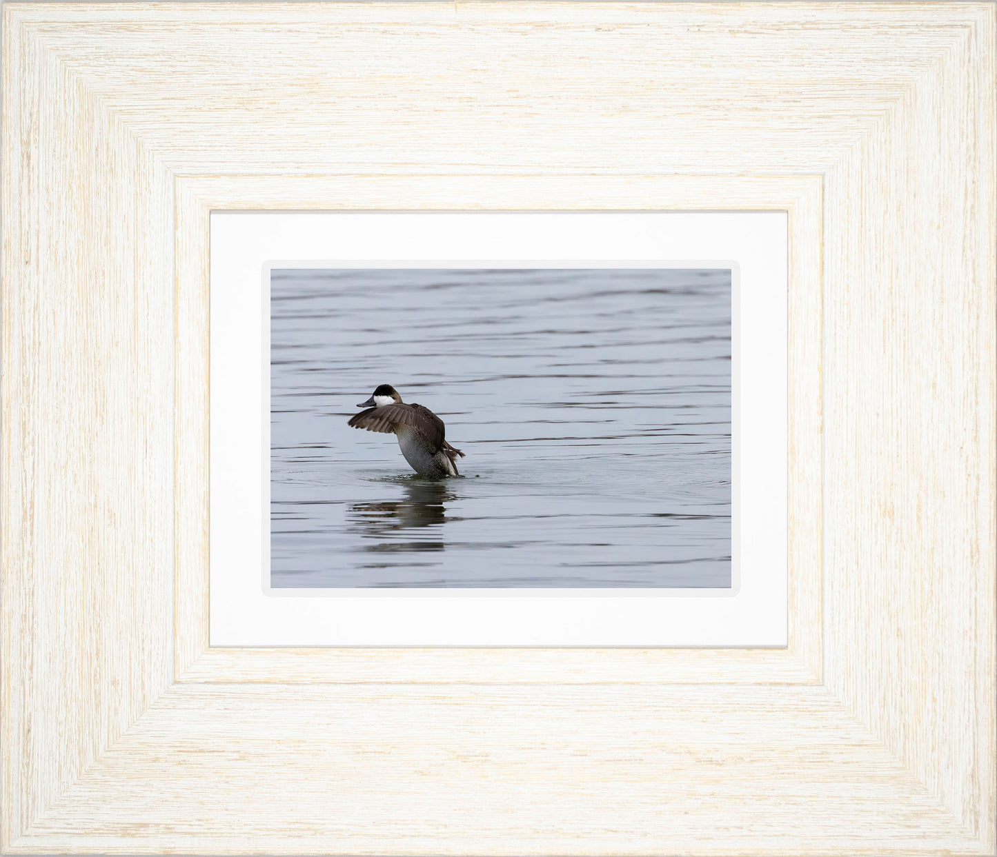 Take-off Ruddy