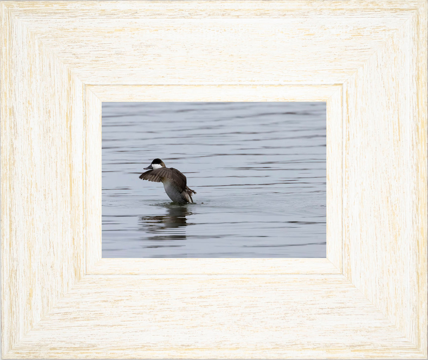 Take-off Ruddy