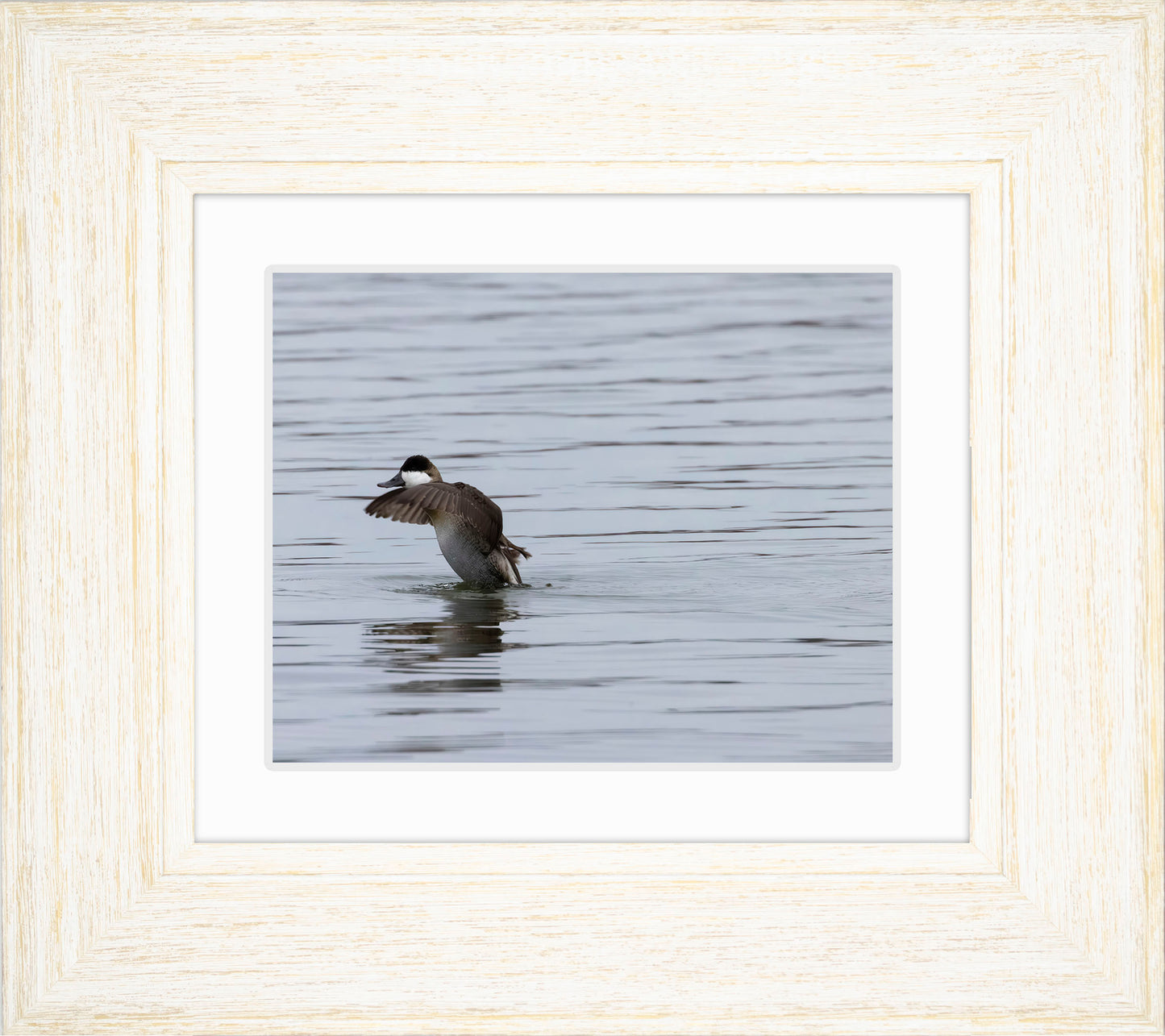 Take-off Ruddy