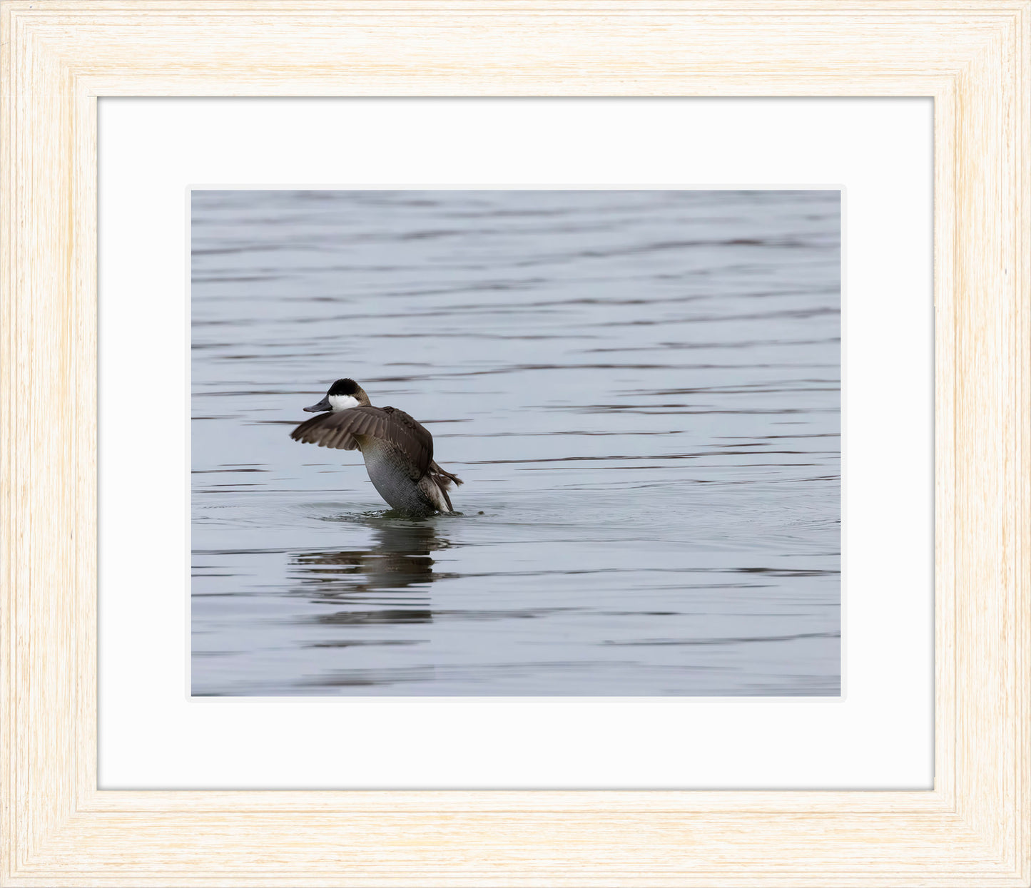Take-off Ruddy