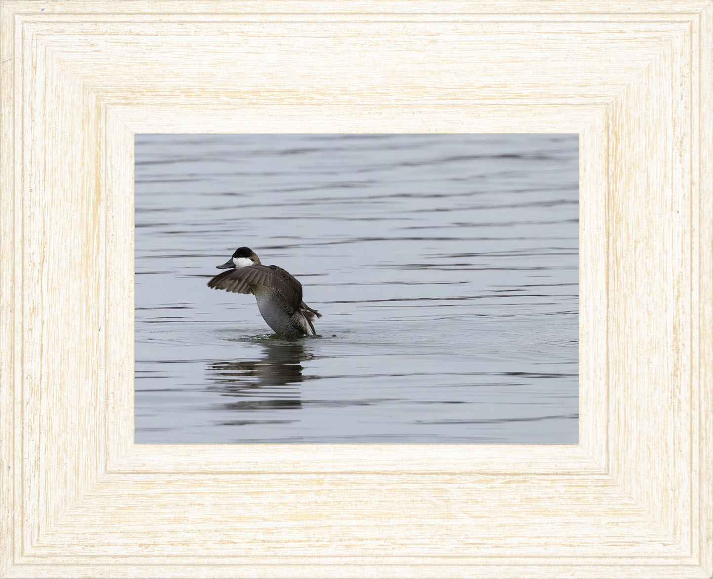 Take-off Ruddy