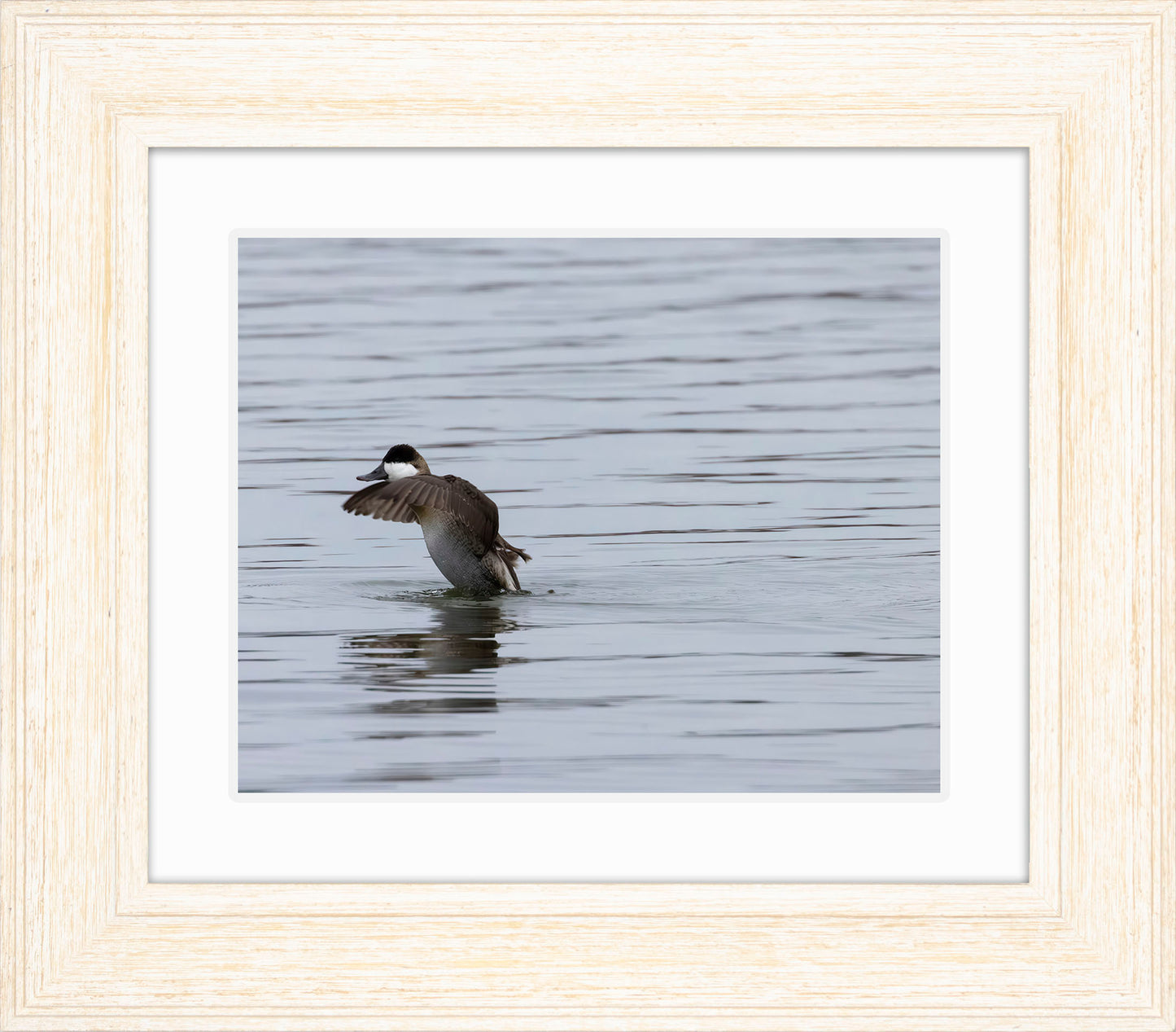 Take-off Ruddy