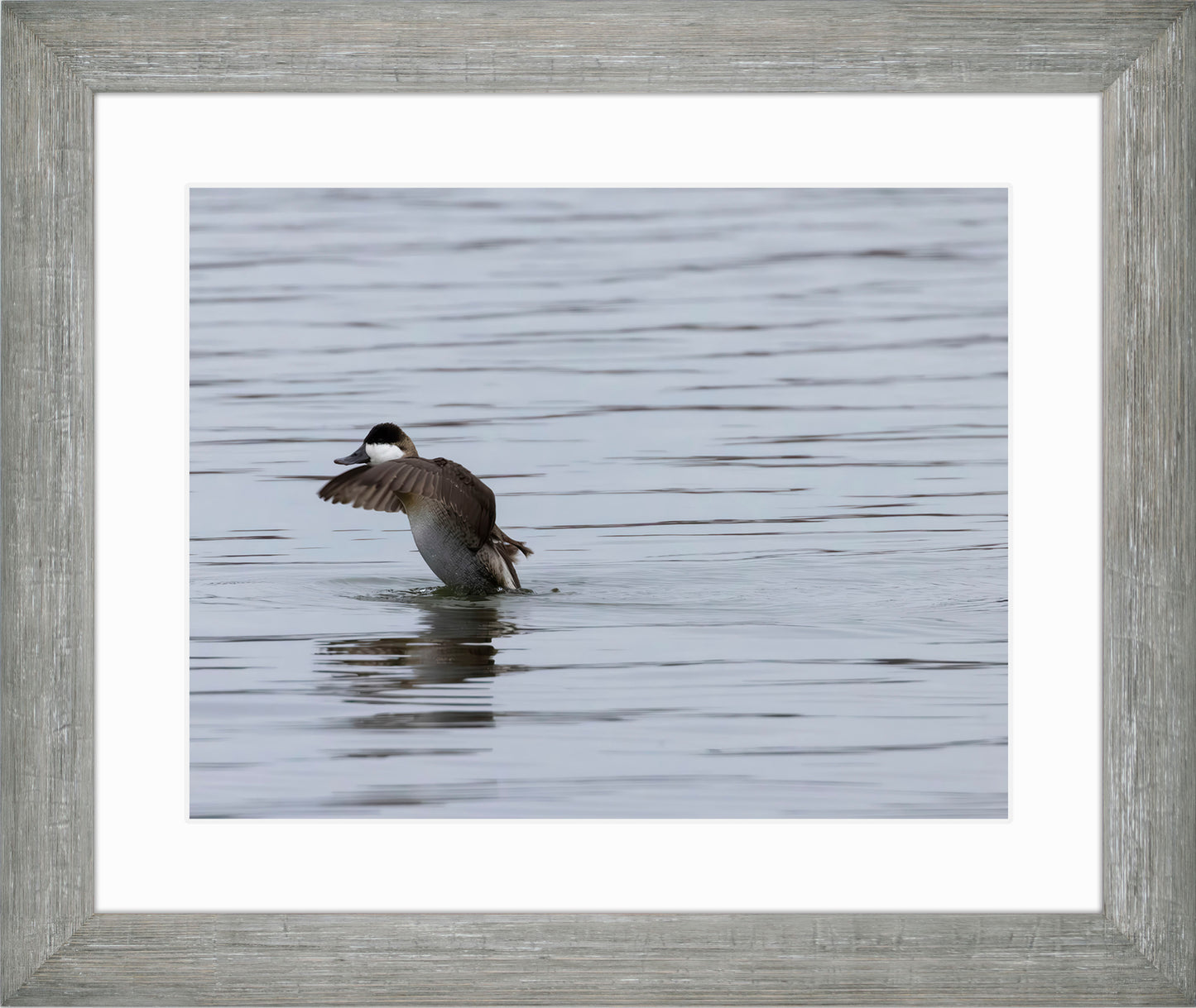 Take-off Ruddy