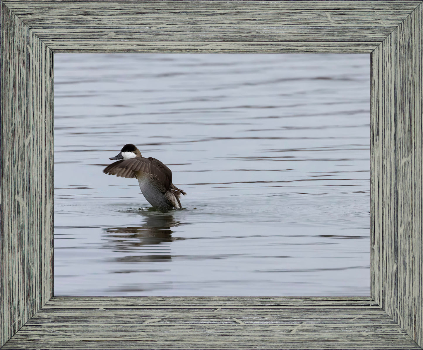 Take-off Ruddy