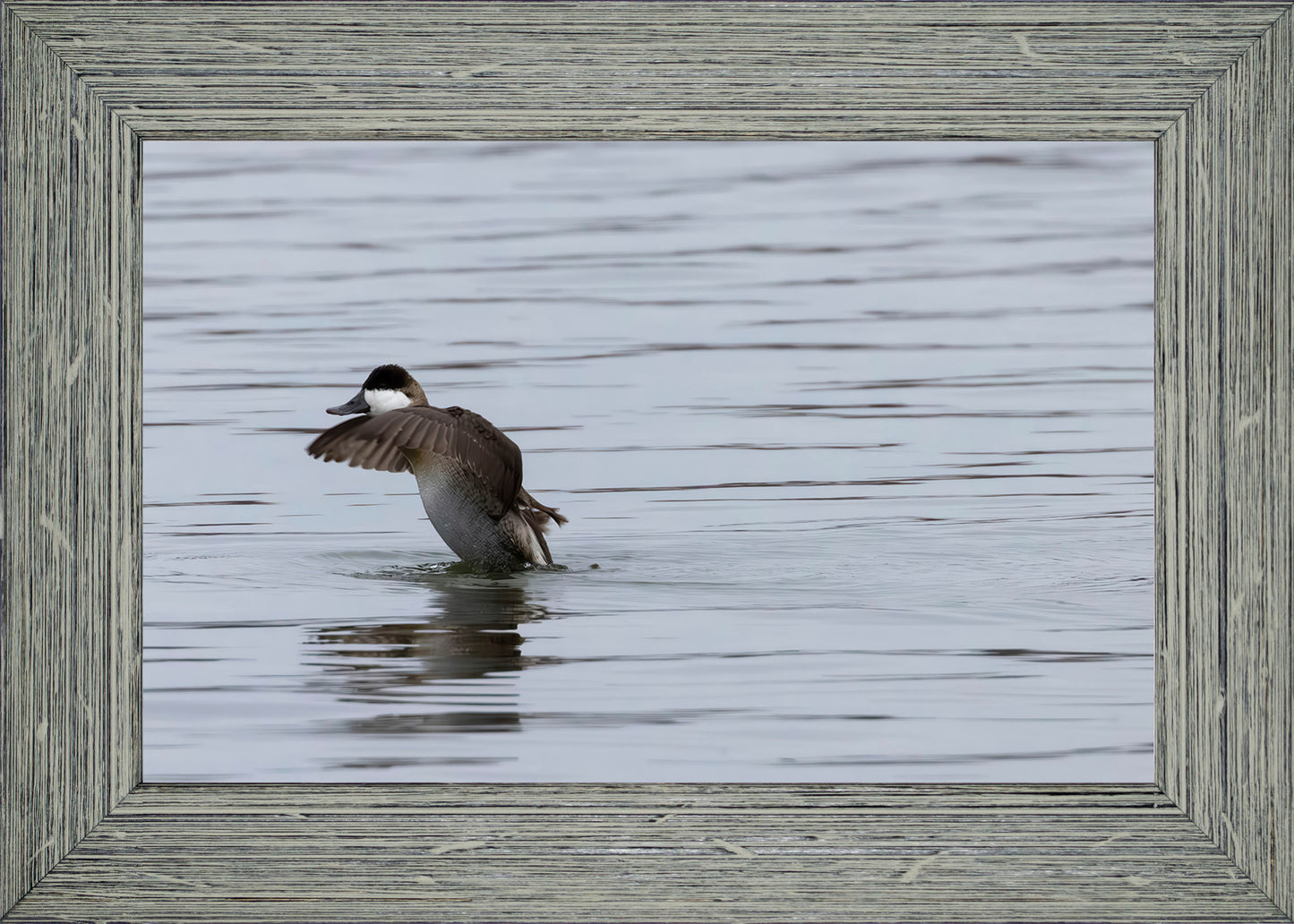 Take-off Ruddy