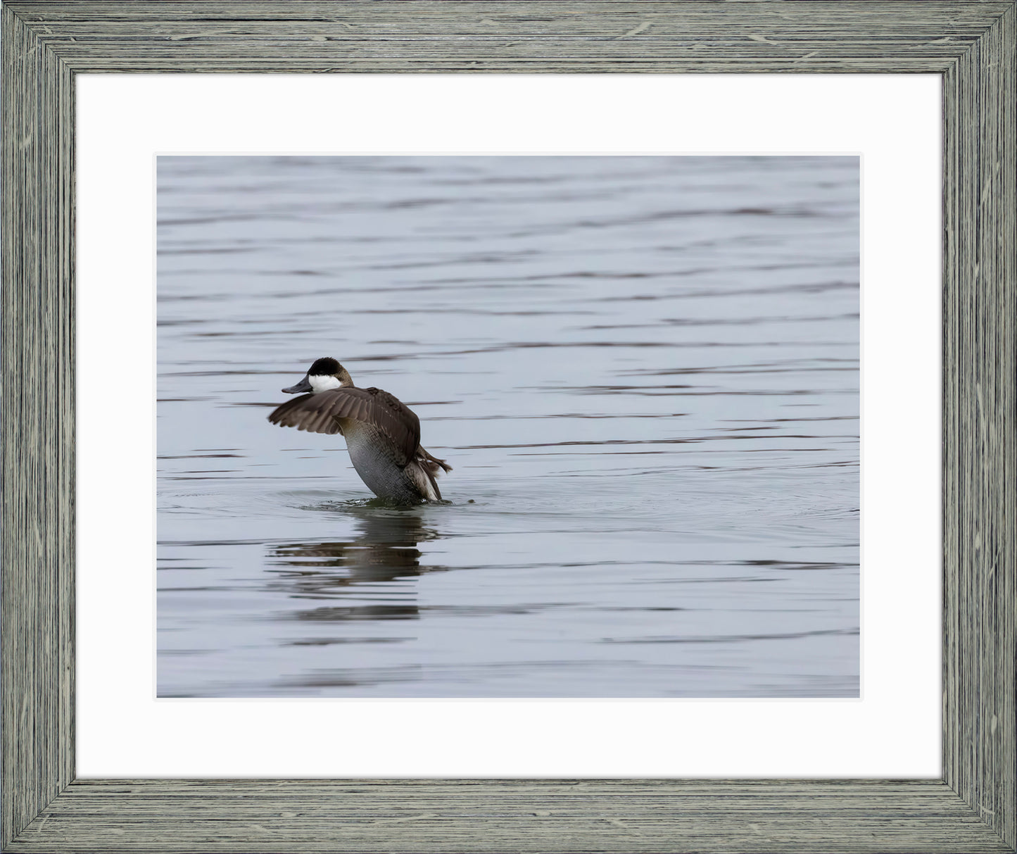 Take-off Ruddy