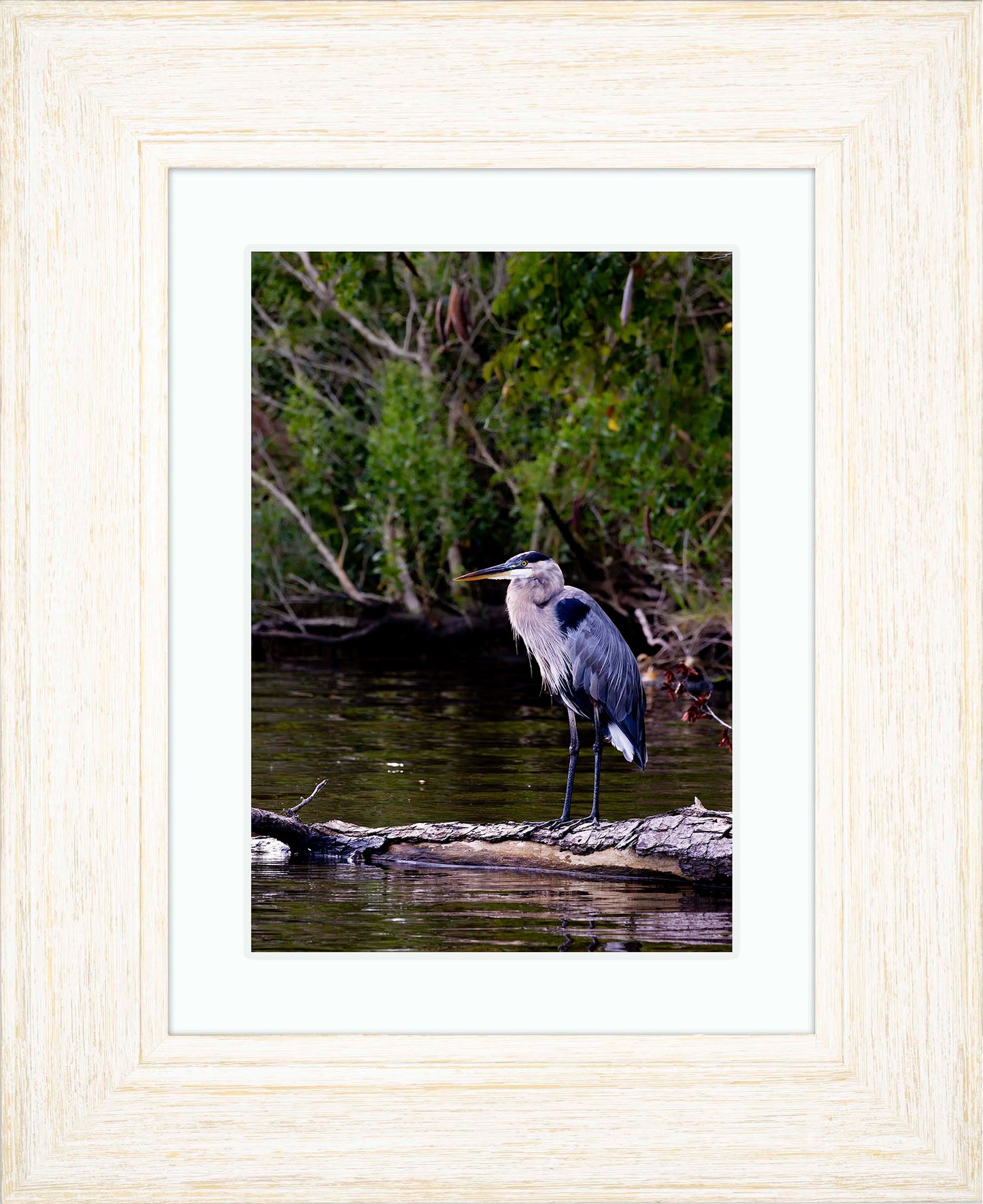 The Surveyor -- Digital Print