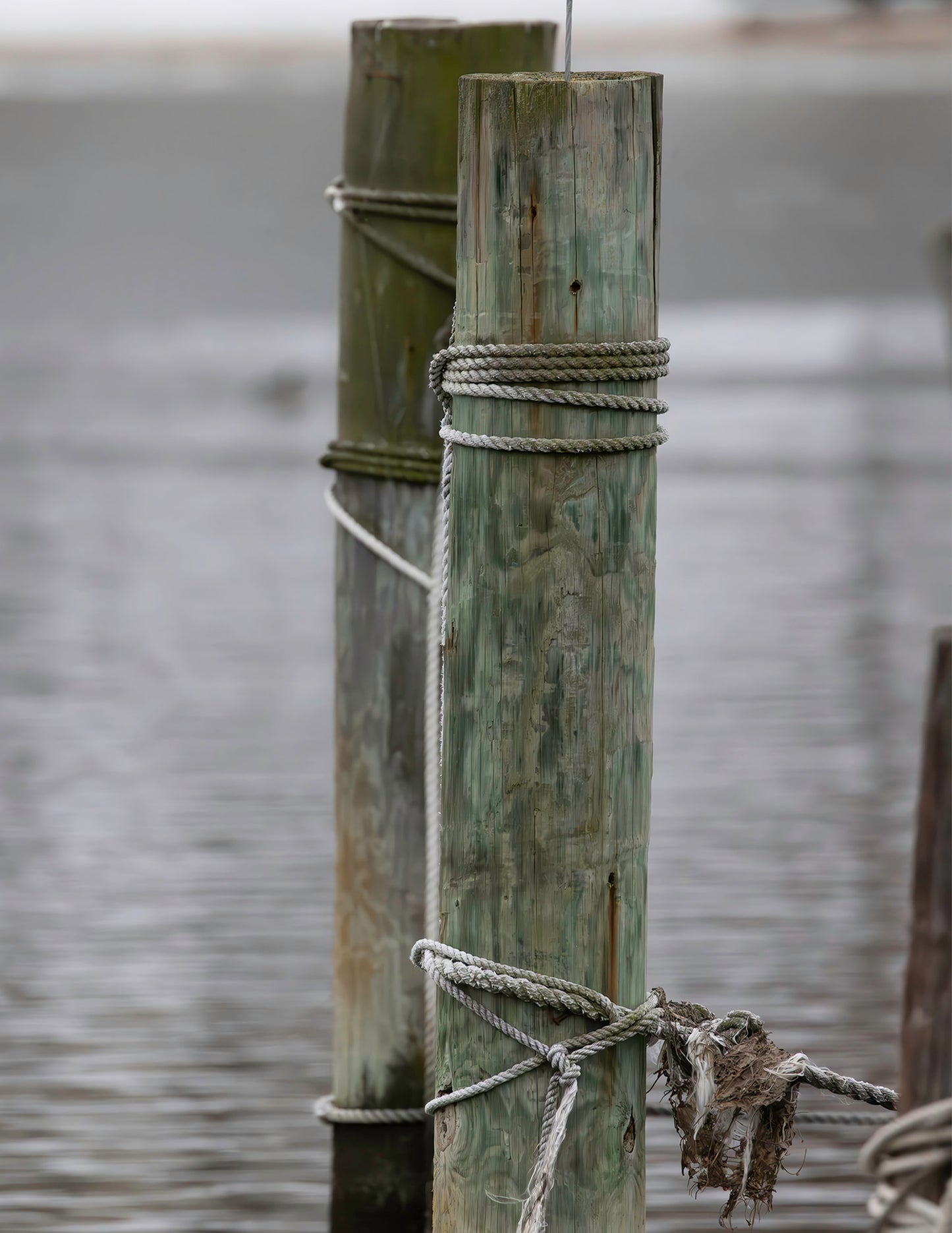 Tied off Pilings -- HD Metal