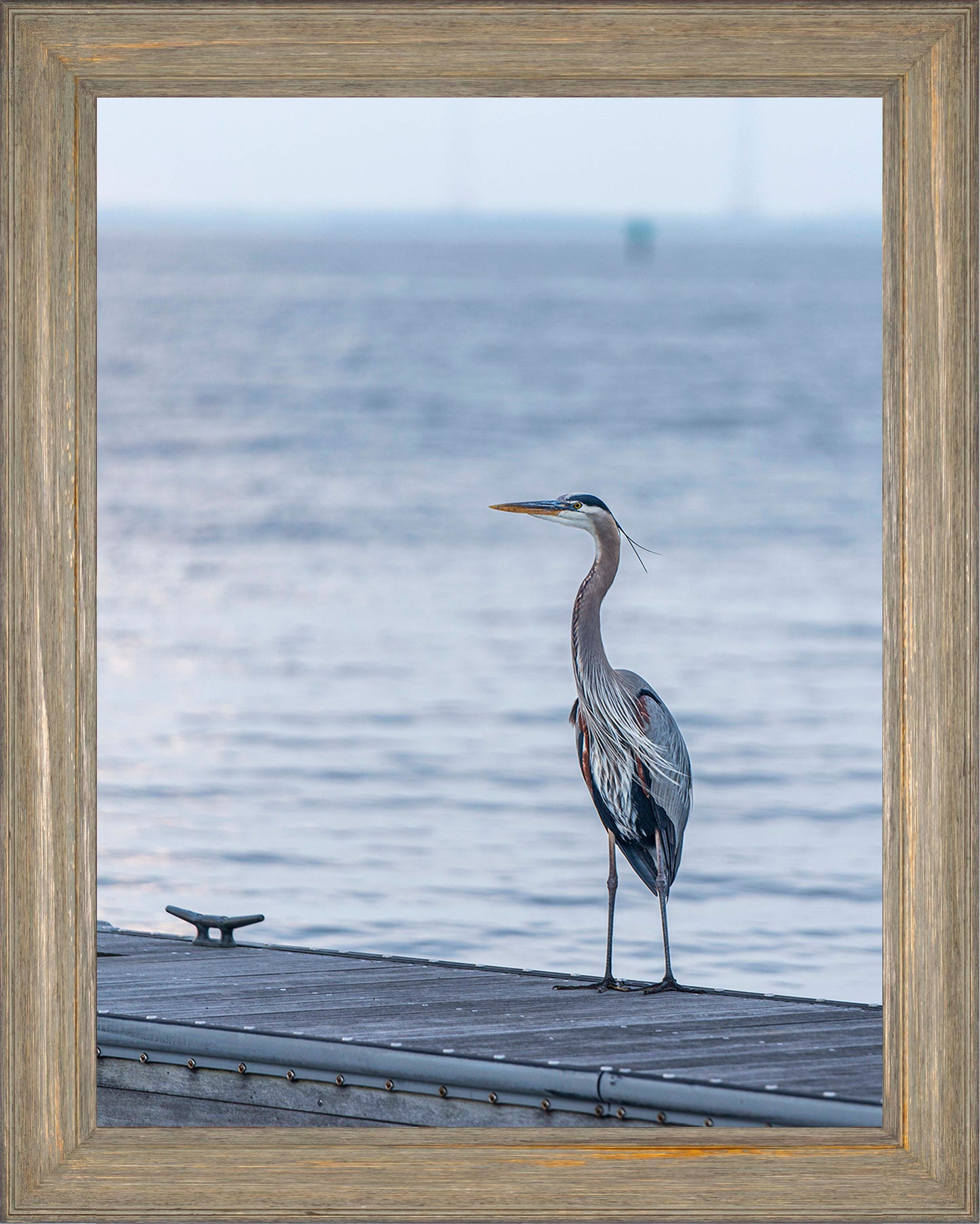 Waiting for a Mate -- Digital Print