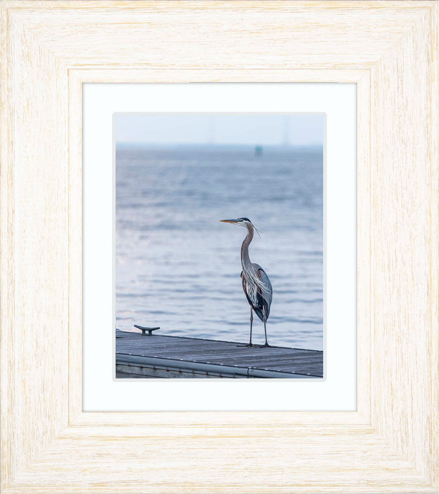 Waiting for a Mate -- Digital Print
