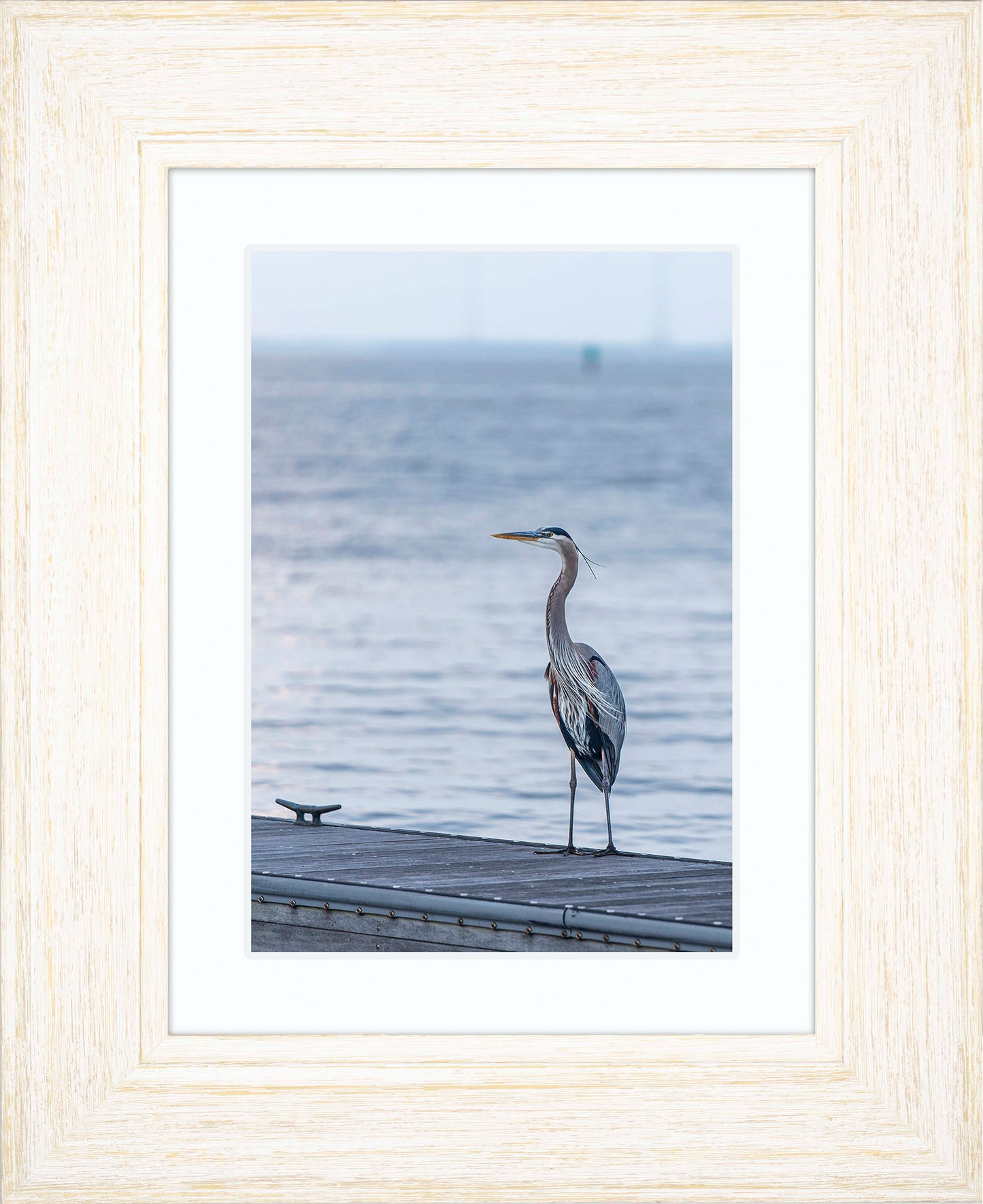 Waiting for a Mate -- Digital Print
