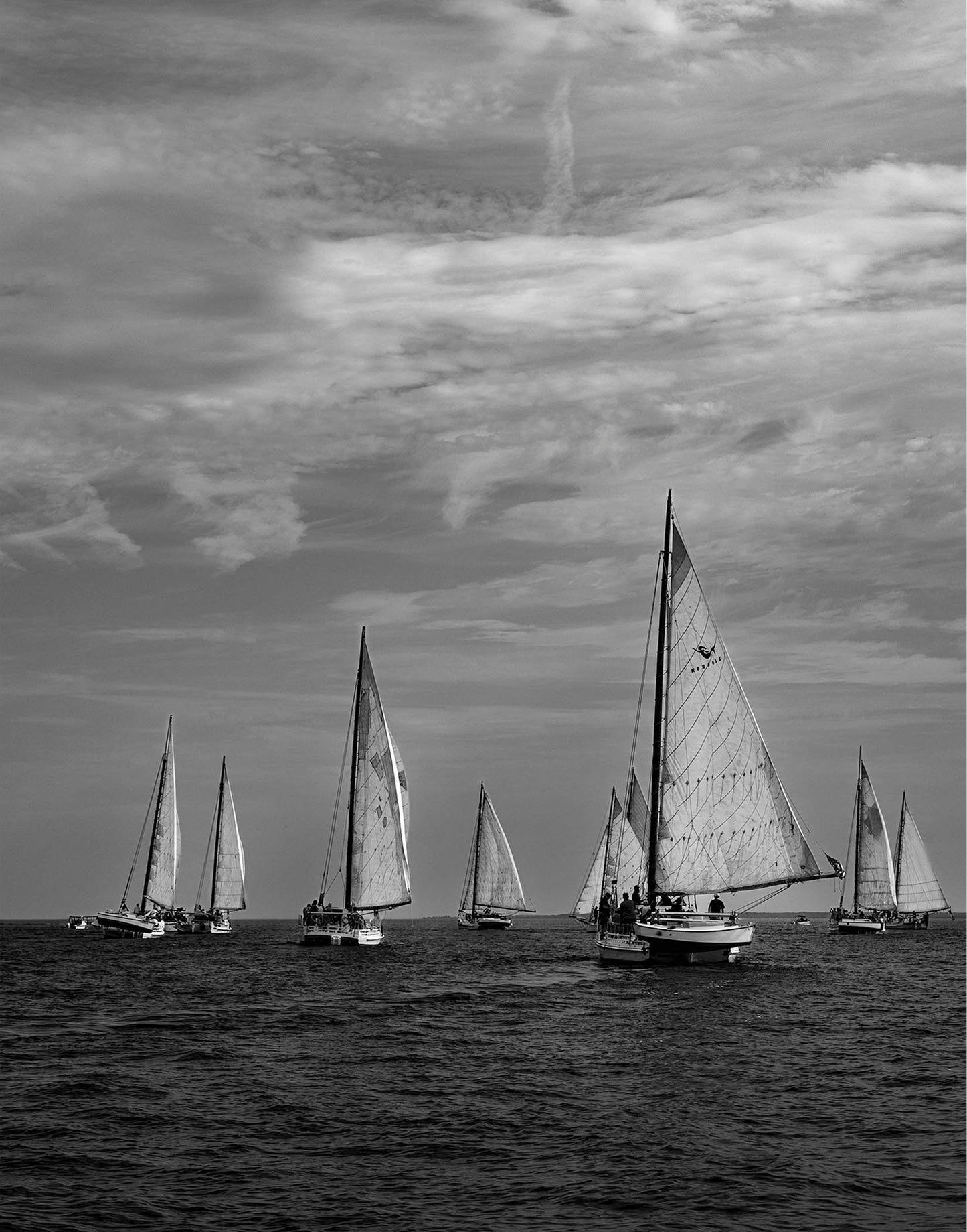 2023 Deal Island Skipjack Races - Following the Fleet (BW)