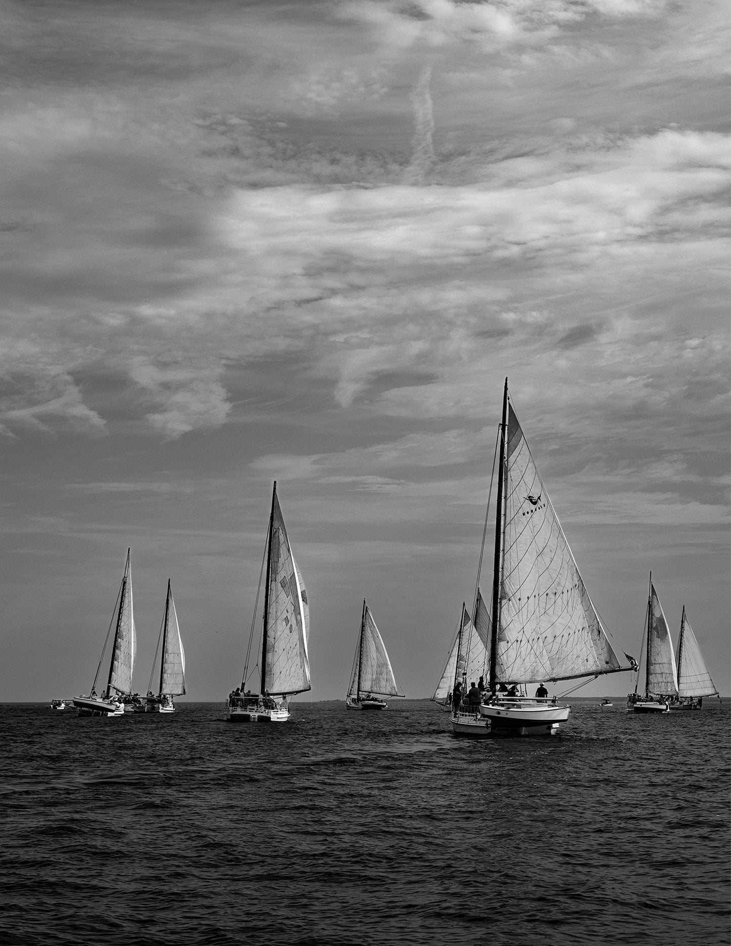 2023 Deal Island Skipjack Races - Following the Fleet (BW)