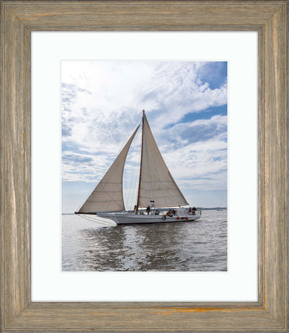 2023 Deal Island Skipjack Races - Return of the Ruark -- Digital Print