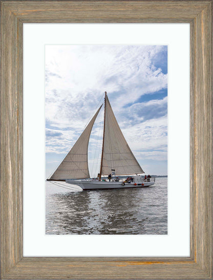 2023 Deal Island Skipjack Races - Return of the Ruark -- Digital Print