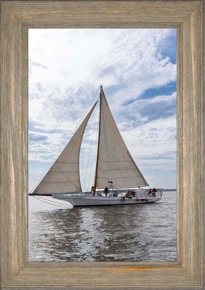 2023 Deal Island Skipjack Races - Return of the Ruark -- Digital Print
