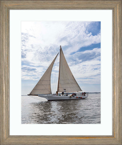 2023 Deal Island Skipjack Races - Return of the Ruark -- Digital Print