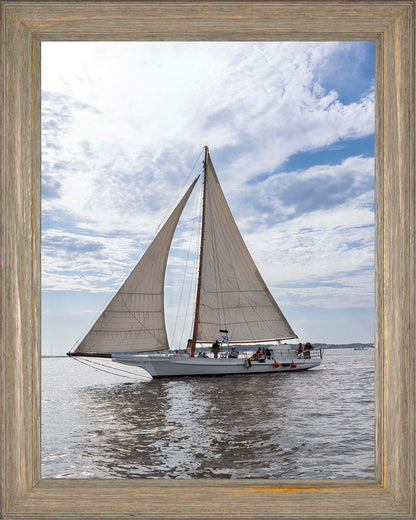 2023 Deal Island Skipjack Races - Return of the Ruark -- Digital Print