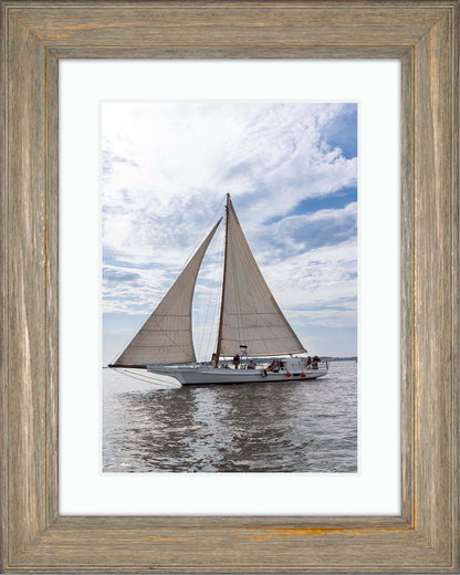 2023 Deal Island Skipjack Races - Return of the Ruark -- Digital Print