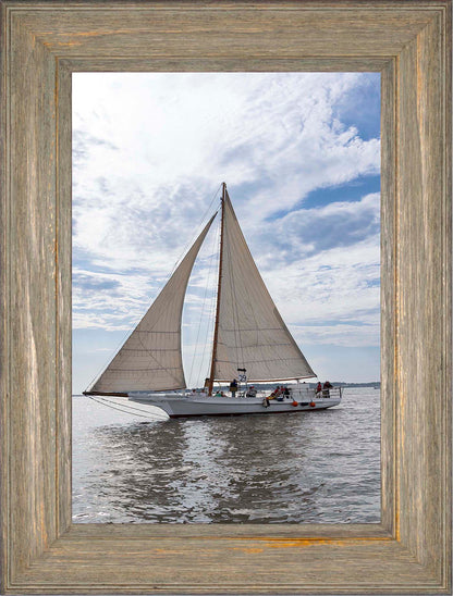 2023 Deal Island Skipjack Races - Return of the Ruark -- Digital Print