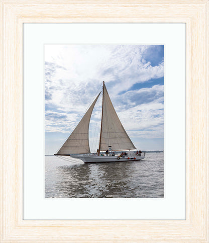 2023 Deal Island Skipjack Races - Return of the Ruark -- Digital Print