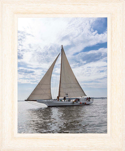 2023 Deal Island Skipjack Races - Return of the Ruark -- Digital Print