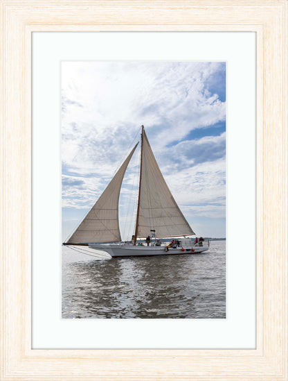 2023 Deal Island Skipjack Races - Return of the Ruark -- Digital Print
