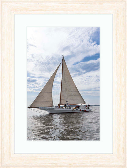 2023 Deal Island Skipjack Races - Return of the Ruark -- Digital Print