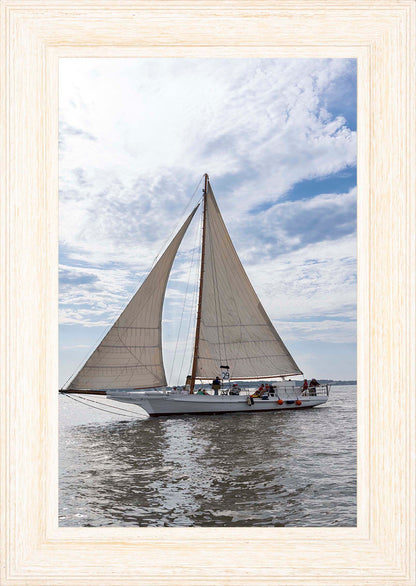 2023 Deal Island Skipjack Races - Return of the Ruark -- Digital Print