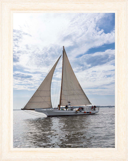 2023 Deal Island Skipjack Races - Return of the Ruark -- Digital Print