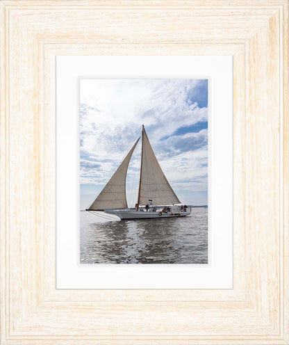 2023 Deal Island Skipjack Races - Return of the Ruark -- Digital Print