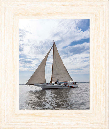 2023 Deal Island Skipjack Races - Return of the Ruark -- Digital Print