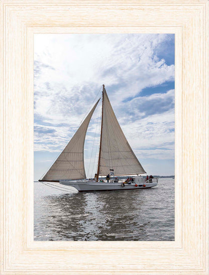 2023 Deal Island Skipjack Races - Return of the Ruark -- Digital Print