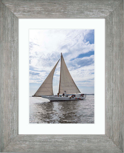 2023 Deal Island Skipjack Races - Return of the Ruark -- Digital Print