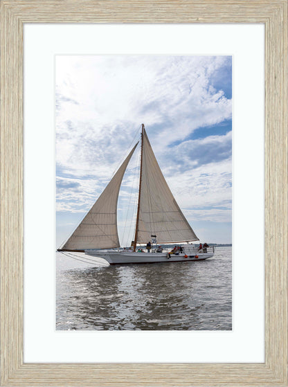 2023 Deal Island Skipjack Races - Return of the Ruark -- Digital Print