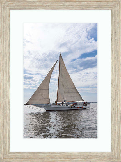 2023 Deal Island Skipjack Races - Return of the Ruark -- Digital Print