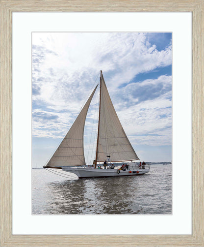 2023 Deal Island Skipjack Races - Return of the Ruark -- Digital Print