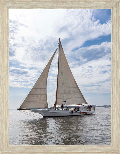2023 Deal Island Skipjack Races - Return of the Ruark -- Digital Print
