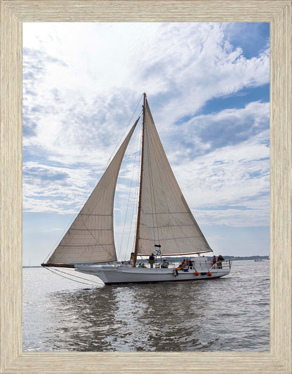 2023 Deal Island Skipjack Races - Return of the Ruark -- Digital Print