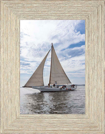 2023 Deal Island Skipjack Races - Return of the Ruark -- Digital Print