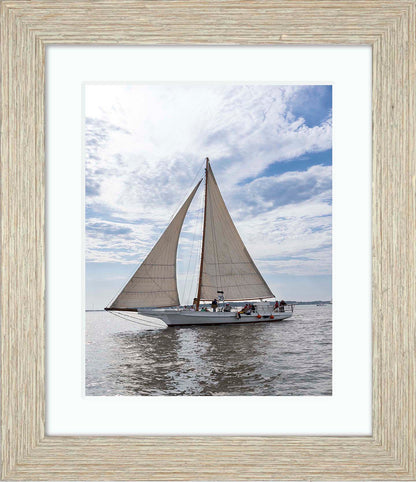 2023 Deal Island Skipjack Races - Return of the Ruark -- Digital Print