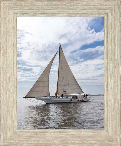 2023 Deal Island Skipjack Races - Return of the Ruark -- Digital Print