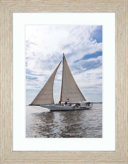 2023 Deal Island Skipjack Races - Return of the Ruark -- Digital Print