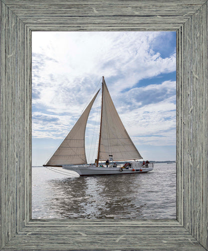 2023 Deal Island Skipjack Races - Return of the Ruark -- Digital Print