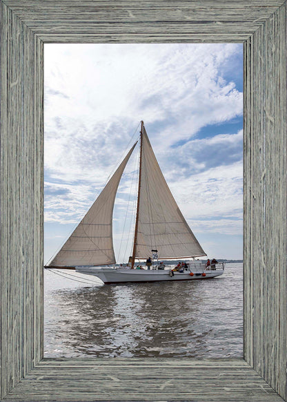 2023 Deal Island Skipjack Races - Return of the Ruark -- Digital Print