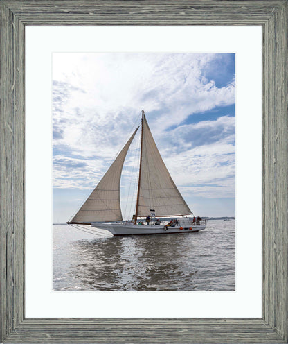 2023 Deal Island Skipjack Races - Return of the Ruark -- Digital Print