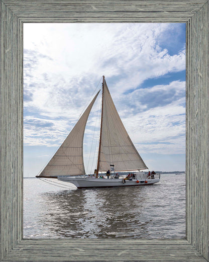 2023 Deal Island Skipjack Races - Return of the Ruark -- Digital Print