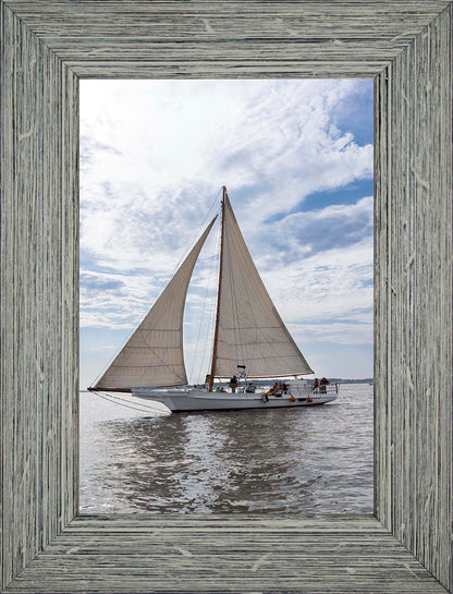 2023 Deal Island Skipjack Races - Return of the Ruark -- Digital Print